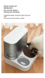 Pet Visual Automatic Pet Feeder - Image 2