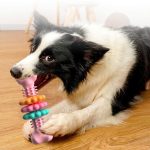 Dog Chew Toy Dog Bone Type  Dogs Teeth Cleaning Toys Indestructible TPR Bone Chewing Bite Resistant Teething Toys  Pet Products - Image 4