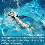 Interactive Dog Football Toy Soccer Ball Inflated Training Toy For Dogs Outdoor Border Collie Balls For Large Dogs Pet Supplies - Image 4