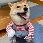 Halloween Pet Costume Pet Dog Funny Clothes Adjustable Dog Cosplay Costume Scary Costume Party Gatherings - Image 5
