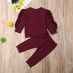 Newborn Baby Boys Girls Ruffles Jumper Solid Long Sleeve Sweatshirt Tops Pants Infant Kids 2Pcs Outfits Clothes Set Fall Clothes - Image 4